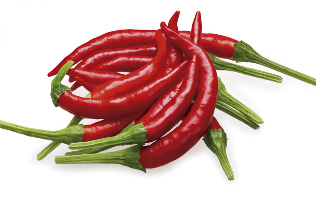 Chile de Arbol