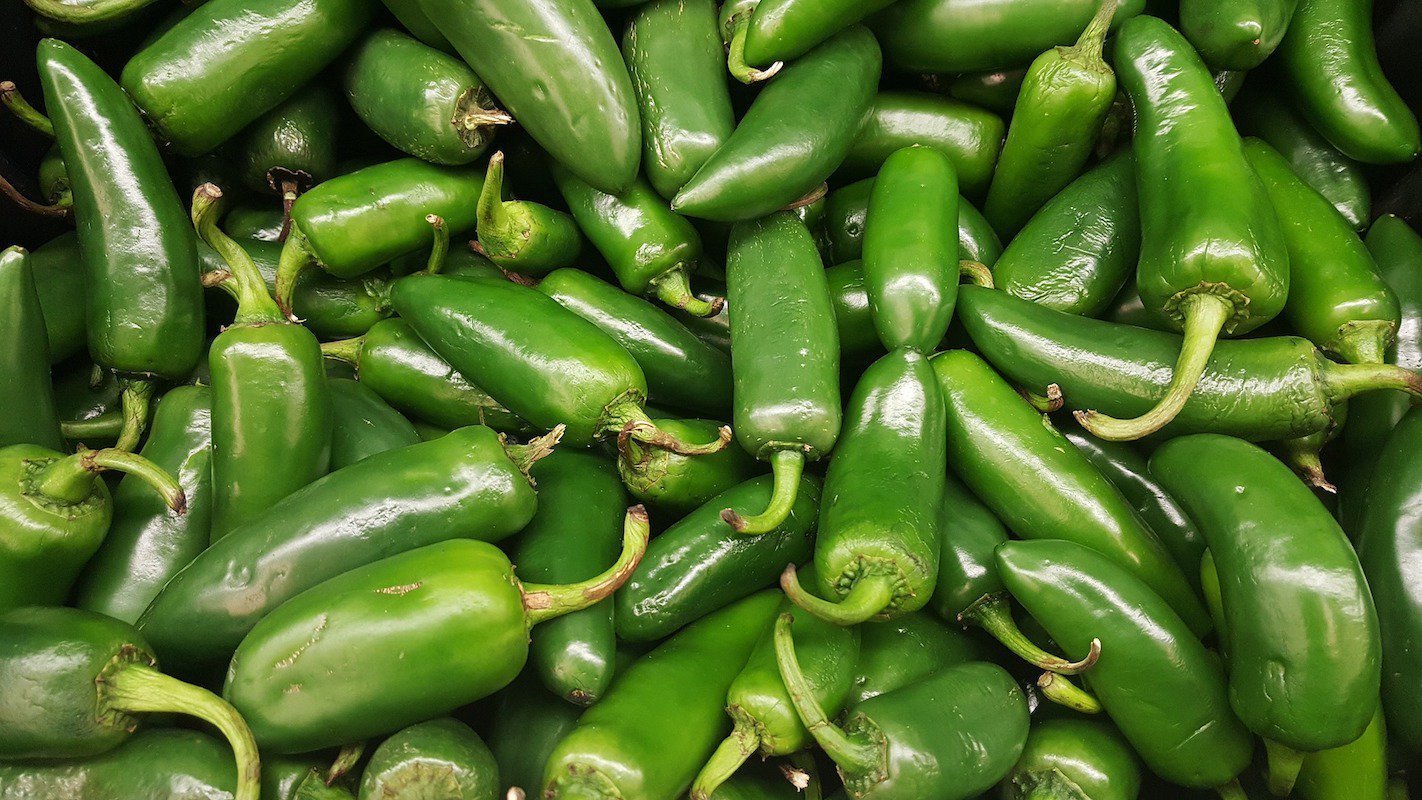 Jalapeño